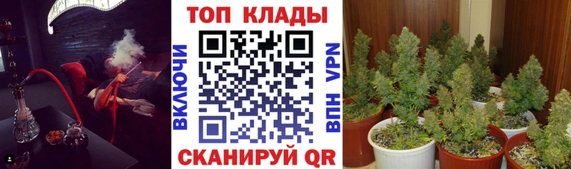 Что такое Тосно Кокаин  АМФЕТАМИН  МДМА  Альфа ПВП  Канабис  Меф мяу мяу  Гашиш 
