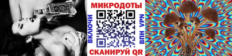 купить наркоту  Тосно  Псилоцибиновые грибы мухоморы 